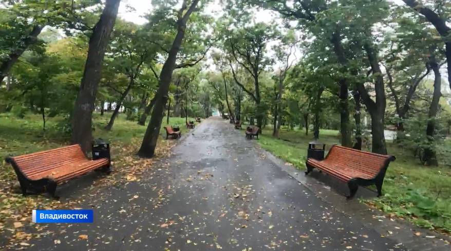 Тыловая часть циклона определяет погоду в Приморье