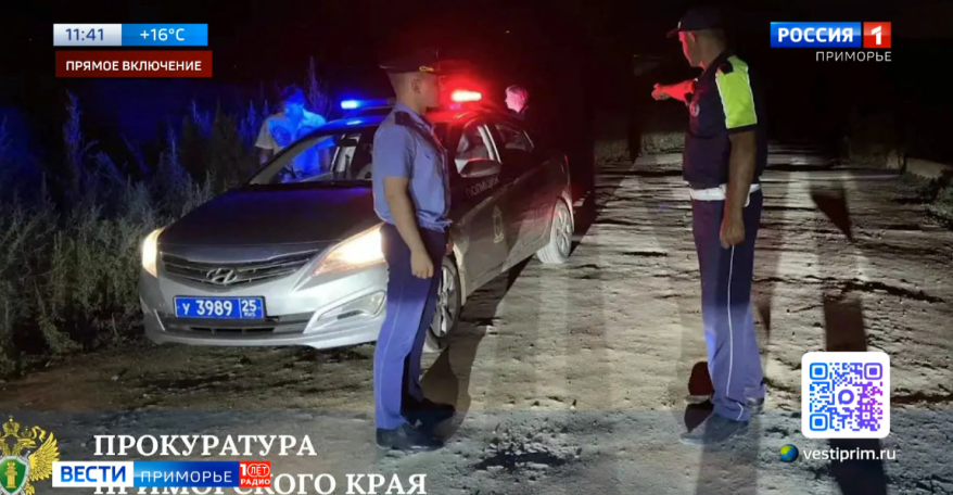 Наезд на семилетнюю девочку и кража у отца погибшего участника СВО: на контроле у прокуратуры