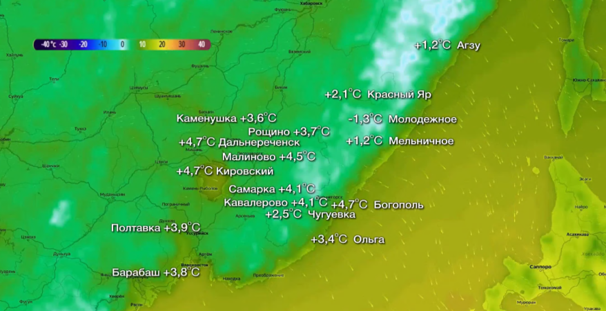 Первые заморозки отмечены в Приморье