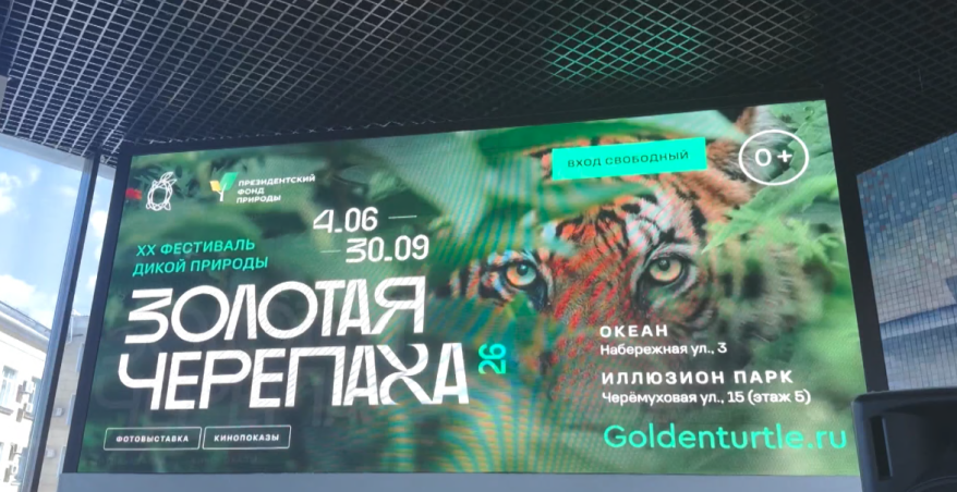 Во Владивостоке прошел фестиваль "Золотая черепаха"