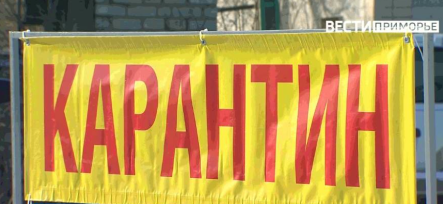 Очаг опасного заболевания выявлен в одном из хозяйств Приморья