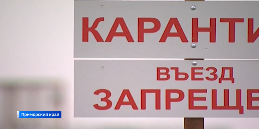 "Всех на контроль": в Приморье усилены меры безопасности из-за опасной заразы