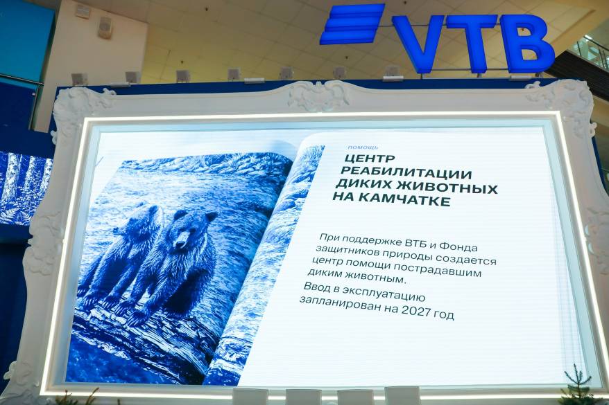 ВТБ создает центр реабилитации диких животных на Камчатке