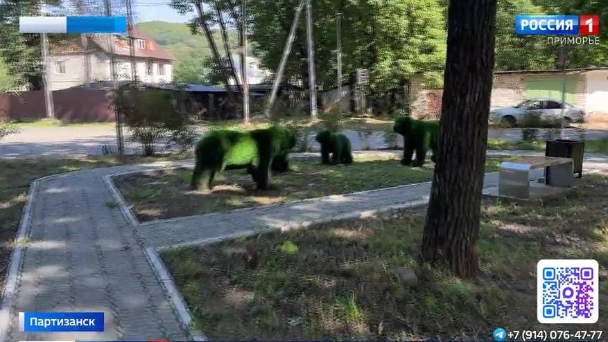 В Приморье увеличат суммы грантов для ТОСов