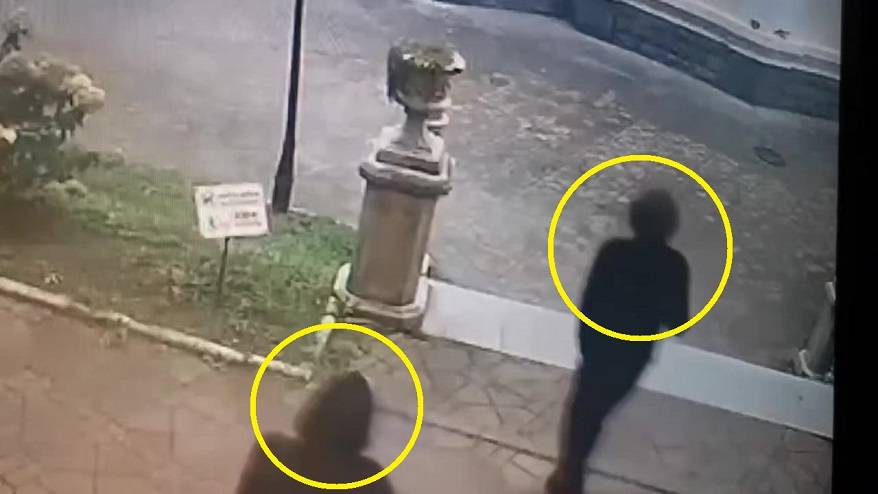 Инцидент в Покровском парке переполошил жителей Владивостока