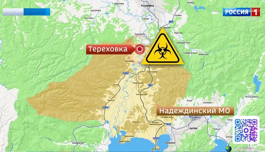 «Зараза» идет по Приморью: муниципалитет попал в зону карантина из-за опасной болезни
