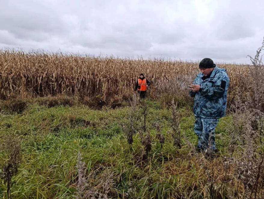 Полиция, военные, волонтеры задействованы в поисках пропавшего мужчины во Владивостоке