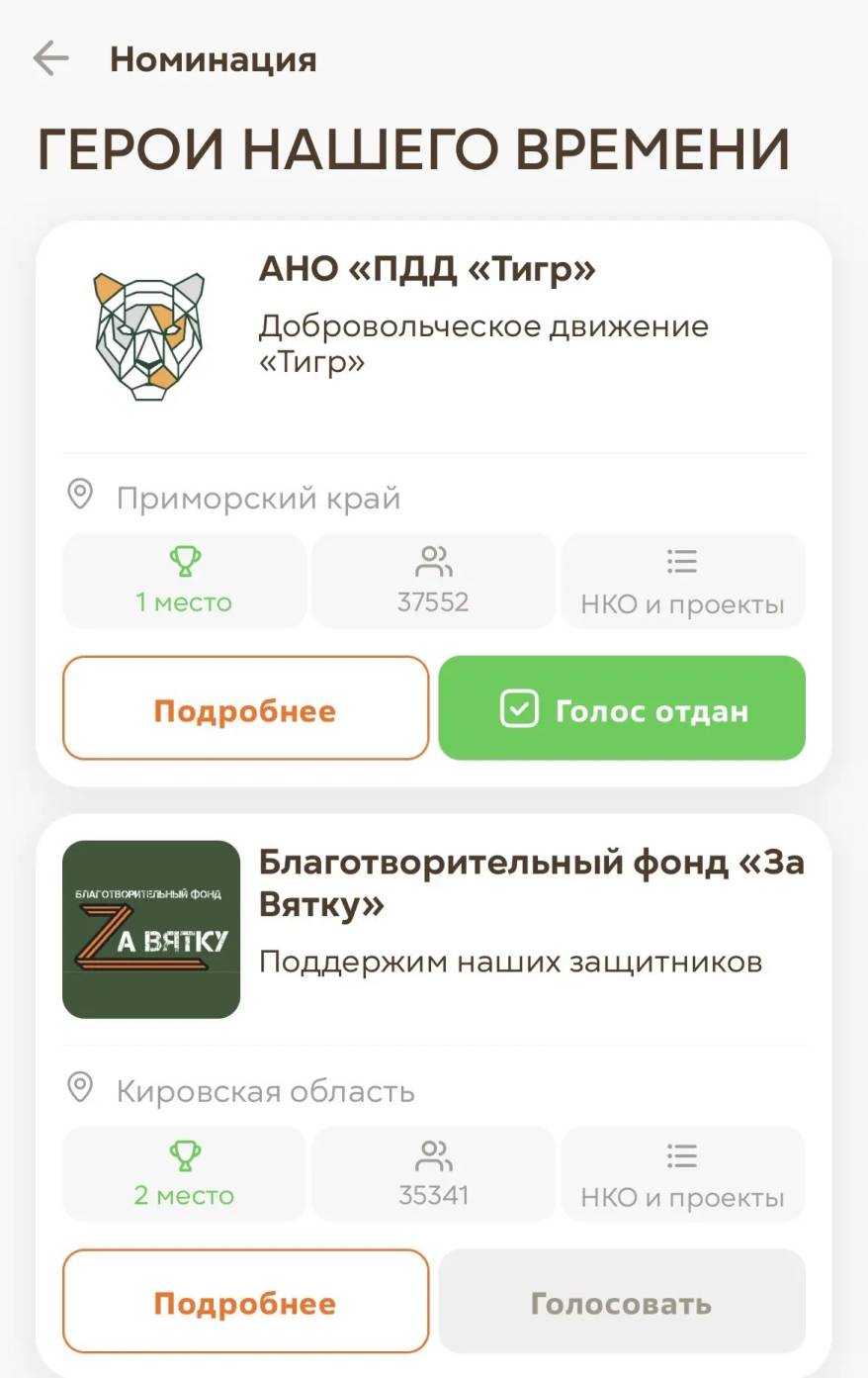 Добровольческое движение «Тигр» бьется за победу в финале международной премии #МЫВМЕСТЕ