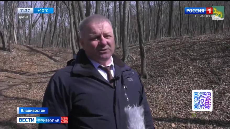 Исполнять обязанности главы города Дмитрий Свитайло будет временно
